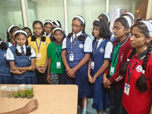 WhatsApp-Image-2025-06-17-at-3.01.32-PM-1