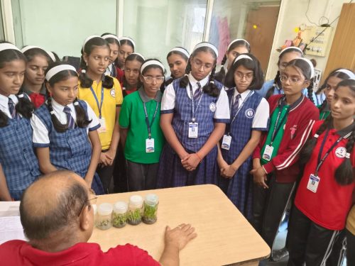 WhatsApp-Image-2025-06-17-at-3.01.32-PM